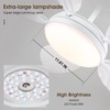 PHORUS 52" Palm Leaf Ceiling Fan with Lights, White Tropical