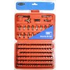 Warrior 100 Piece Security Bit Set
