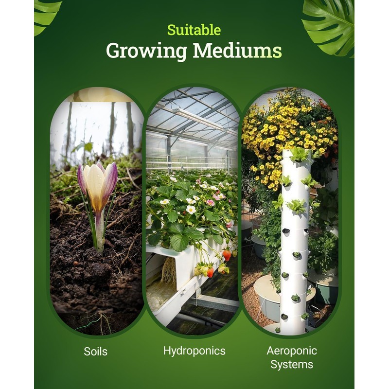 FoxFarm Beastie Bloomz Water Soluble Fertilizer for Mid-Flowering Stage, High