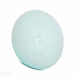 요가용품 무게볼 필라테스미니볼 소프트토닝볼 요가 필라테스 볼 1KG 2개 Yoga Equipment Weight Ball Pilates Mini Ball Soft Toning Ball Yoga Pilates Ball 1KG (2 pieces)