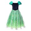 JerrisApparel Princess Party Dress Costume Cosplay Dress Up (6 years,