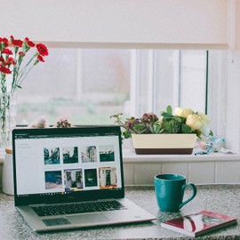 Rocutus Window Box Planter Window Planter,Rectangle Plant Planter Flower Pots Plant Containers Succulent Cactus Window Box with Saucer,Small Succulent Cactus Plastic Plant Pot for Windowsill(3)