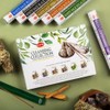 HEM Cleansing Collection - 6 White Sage Incense Mixes: Blue