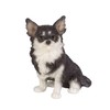 Uvia H24014 Left-facing Chihuahua, Black (Mini), 1.0 x 1.0 x