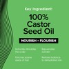 True+Real 100% Pure Castor Oil – Cold-pressed, Hexane Free, Unrefined,