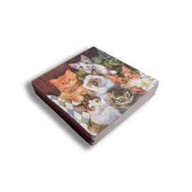 Set of 20 Decoupage Paper Napkins Kittens Cats Flowers Watercolor Decor Luncheon Shabby Chic Beverage Napkin for a Birthday, Holiday, Wedding, Cocktail Dinner & Tea Party