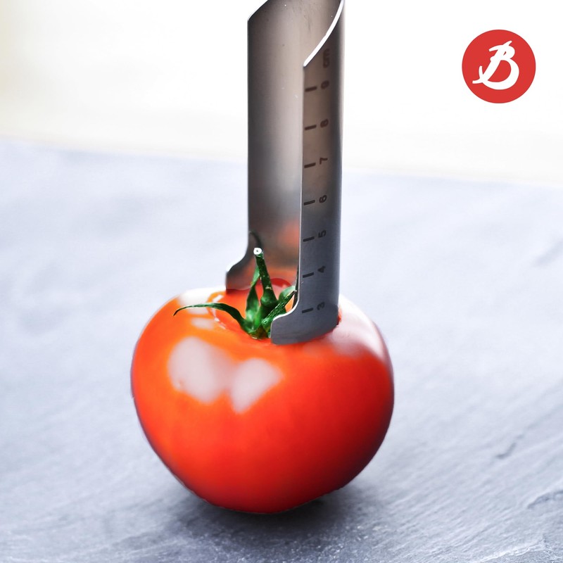 de Buyer UNIVERSAL CORE CONCEPT Manual Corer, Red - 1”