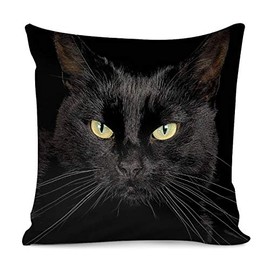 Amzbeauty Stylish Decorative Throw Pillow Case Covers Bedroom Sofa Living Room Pillowcases Luxury Sofa Square 18”x 18” Funny Black Cat Pattern