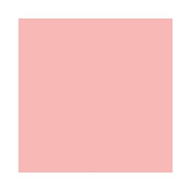 Rose Perfecto Tinted Liquid Lip Balm - 001 Pink Irresistible by Givenchy for Women - 0.2 oz Lip Balm