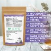 50 Bags Chaste Tree Berry Сhasteberry Tea Vitex Tea Herb