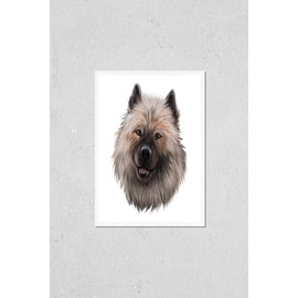 Poster Reproduction of Keeshond, Dutch Barge Dog, German Spitz dog digital art illustration isolated on white background. Holland origin northern breed dog. Pet hand drawn portrait. Graphic clip