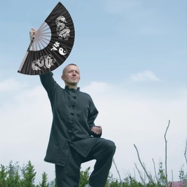 Practice Training Performance Tai Chi Fan, Double Dragon Hand Fan Stainless Steel Kung Fu Fan Hand Held Folding Chinese Embroidery Martial Arts Fan For Dance Fighting Festival Wall Decorations Gift