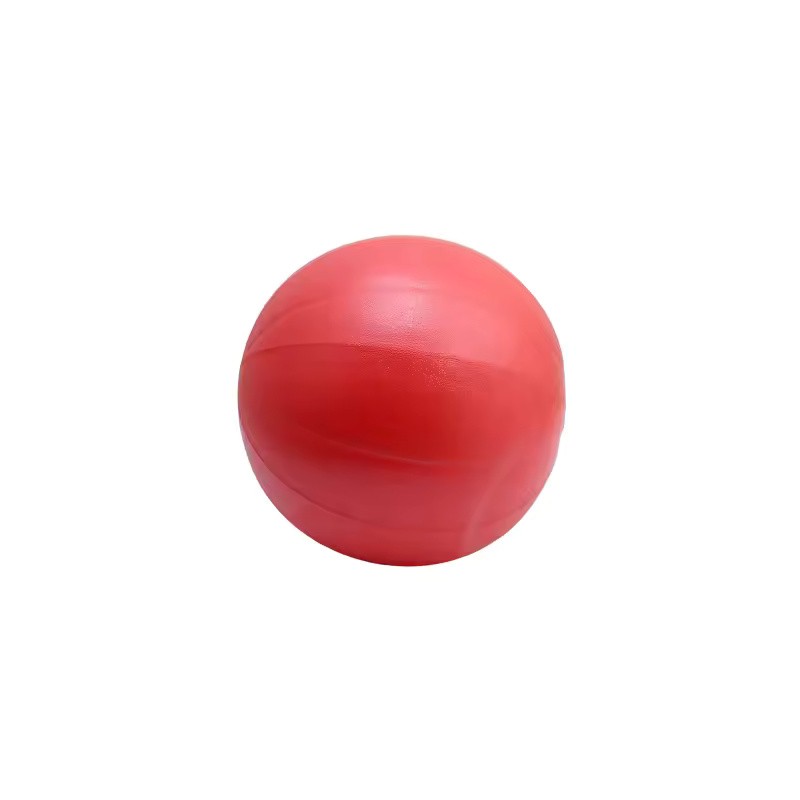 25cm Mini Pilates Yoga Ball, Inflatable PVC Core Balance Exercise