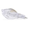 OSRAM Halogen-pin-Base / HALOPIN / G9-Socket / dimmable / 20