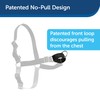 PetSafe Easy Walk Harness, No Pull Harness for Dogs, Adjustable