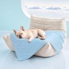 Luciphia Cooling Dog Blanket, Q-MAX>0.5 Pet Throw for Couch, Crate