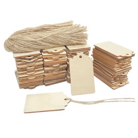 200 Pack 3 Inch Wood Tags with Hole and Twine Blank Wooden Gifts Tag Unfinished Wood Labels for Crafts