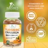 Turmeric Curcumin Supplement Gummies with Ginger & Cinnamon, 95% Curcuminoids