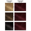 GARNIER Olia Colouration No. 4.62 Carmin Velour