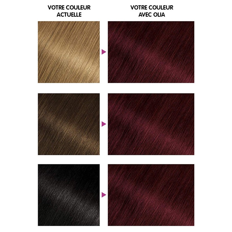 GARNIER Olia Colouration No. 4.62 Carmin Velour