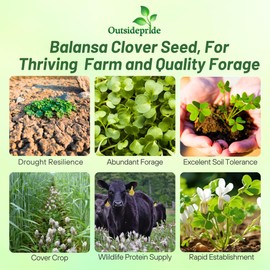 Outsidepride Fixation Balansa Clover Seeds for Lawn - 5 lbs. Coated & Inoculated, Cold Season, Drought Tolerant Cover Crop Seeds, Ideal for Erosion Control, Pasture, & Pollinator-Friendly Garden