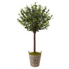 Nearly Natural 5960 4.5' Olive Topiary Tree with European Barrel