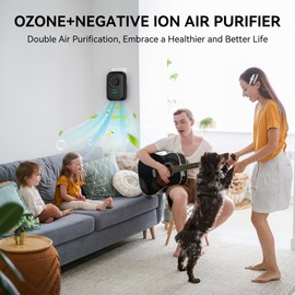 Ionic Air Purifier,Plug-in&USB Air Ionizers for Home,Quite Filterless Ionizer Air Purifier Ozone for Home,Bedroom,Kitchen,Bathroom,Office(black)