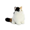 Aurora® Charming Fat Cats™ Munchy Calico™ Stuffed Animal - Cuddly