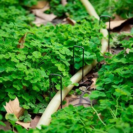 Garden Pegs Stakes for Netting Artificial Grass Pegs Heavy Duty Metal Ground Pegs for Membrane Tent Pegs Metal for Artifical Grass, Black.