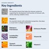 Stonehenge Health Dynamic Immunity Daily Supplement 10-in-1 Immune Boosters Zinc,