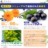 ファイン ルテイン ひとみの恵 ルテイン66 アスタキサンチン ゼアキサンチン ビルベリーエキス末 カシスエキス メグスリノキ末 クリルオイル