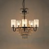 Skelang 4 Pcs Clear Glass Shade, Light Shade with Crackle,