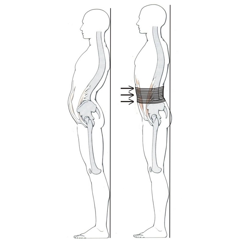 Bauch und Rückenstützgürtel Bauchweggürtel Gr. 2 (Taillenumfang 90-110 cm)