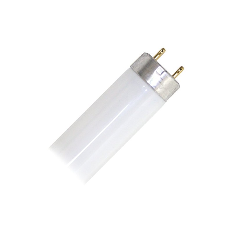GE Lighting 66472 T8 Extra Life Linear Fluorescent Lamp 28