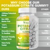 Yikecao 2 Pack Potassium Citrate Gummies 1500mg, High Potency Potassium