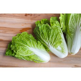 KIRA SEEDS - Seeds Napa - Chinese Cabbage - Heirloom Vegetable - GMO Free