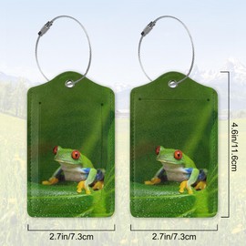 2 Pack Leather Luggage Tag for Suitcase Cute Tree Frog Funny Animal Unique Travel Tags with Privacy Cover ID Label & Stainless Steel Loop for Men and Women Baggage