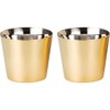 Enzo Premium Stainless Steel Tumbler (Gold-plated Exterior)