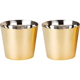 Enzo Premium Stainless Steel Tumbler (Gold-plated Exterior)