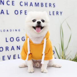 PETCARE Small Dog Hoodie Cat Sweater Yellow Warm Soft Fleece Sweatshirts with Pocket Fall Winter Puppy Sweaters Cat Clothes for Cats Only Chihuahua Yorkies French Bulldog Outfits Pet Hooded Costume