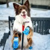 Zapatos para perro QUMY para botas y protectores de patas