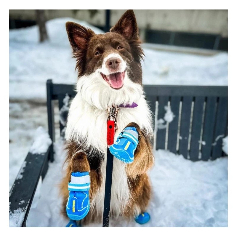 Zapatos para perro QUMY para botas y protectores de patas