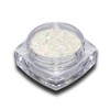 Unicorn Einhorn Glitter Mix Weiss Glitzer Puder Nailart