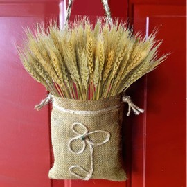 CISDUEO 100 Pcs Dried Wheat Stalks Bundle Grass Natural Dried Wheat Sheaves Stems Dried Flowers Arrangement Bouquet for Wedding Party Table Centerpiece Fall Harvest Wreath Boho Decor Farmhouse DIY