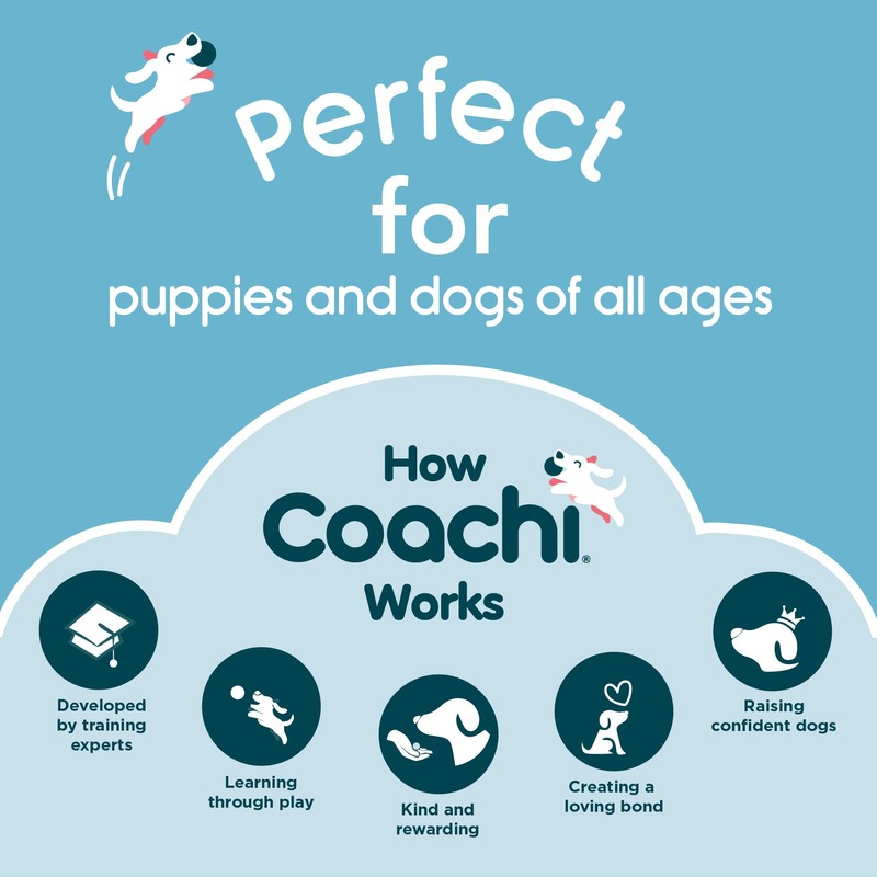 Company of Animals Coachi Multi-Clicker, Dog Accessory, Volume Control with
