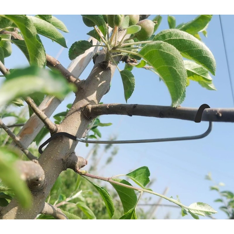 20Pcs Fruit Tree Branch Spreaders, 7 Inch Limb Puller with