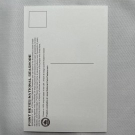 Point Reyes National Seashore Robert B Decker Postcard New