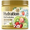 Electrolyte Powder Drink Mix 1200mg - Sugar Free Hydration Keto