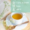 T2B Basic Herbal Tea Loose Organic - Pack of 4