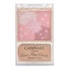 Canmake B02 Rose Ballerina Cheek Gloss Highlight Sheer Mat 1